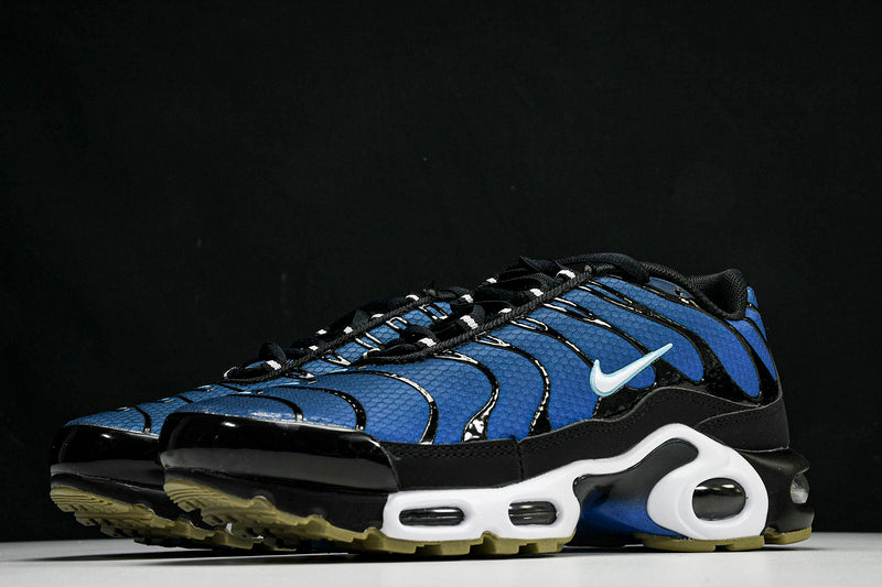 Nike Air Max Plus Black/Blue