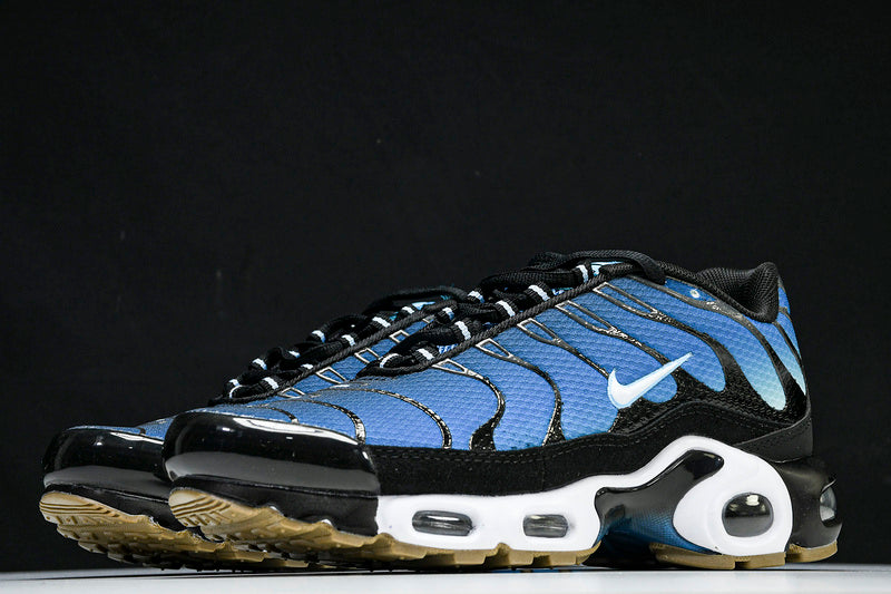 Nike Air Max Plus “AQUARIUS”