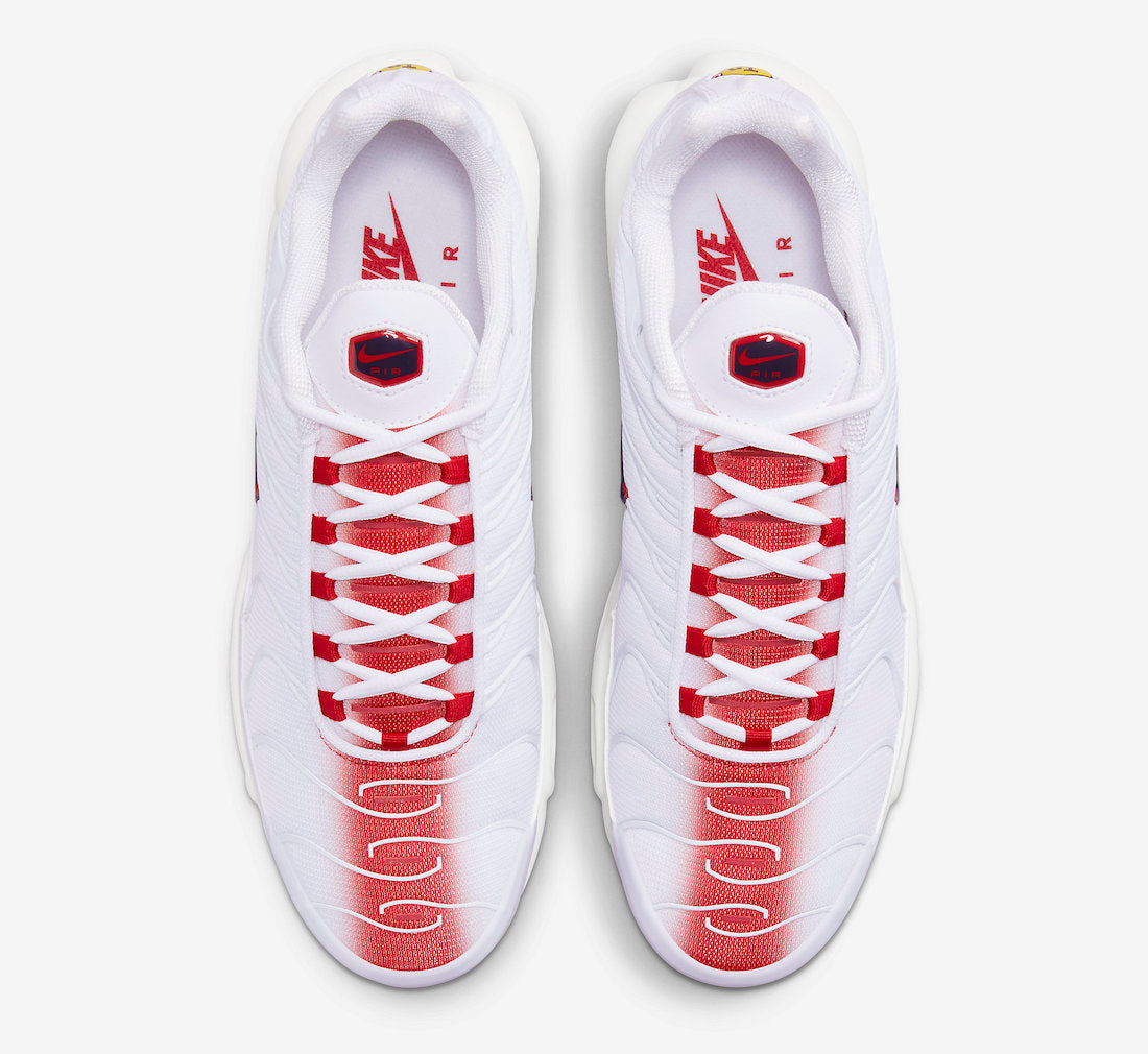 Nike Air Max Plus FN3410-100