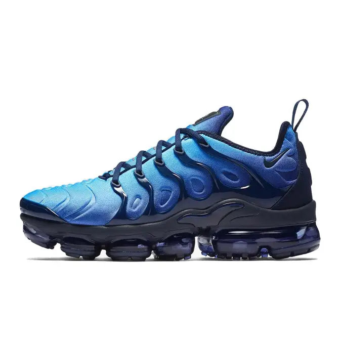 Nike Air VaporMax Plus Photo Blue