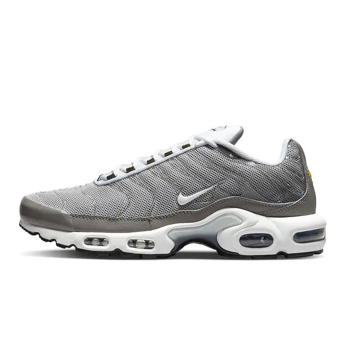 Nike Air Max Plus “Flat Pewter”DV7665-002