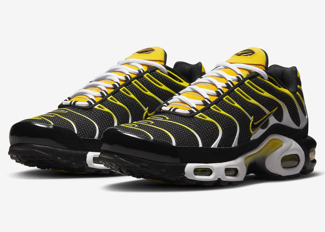 Nike Air Max Plus DQ3983-001