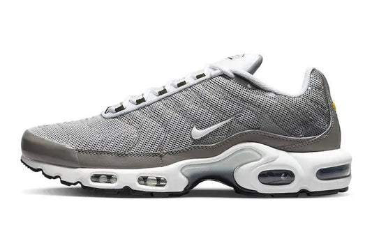 Nike Air Max Plus “Flat Pewter”DV7665-002