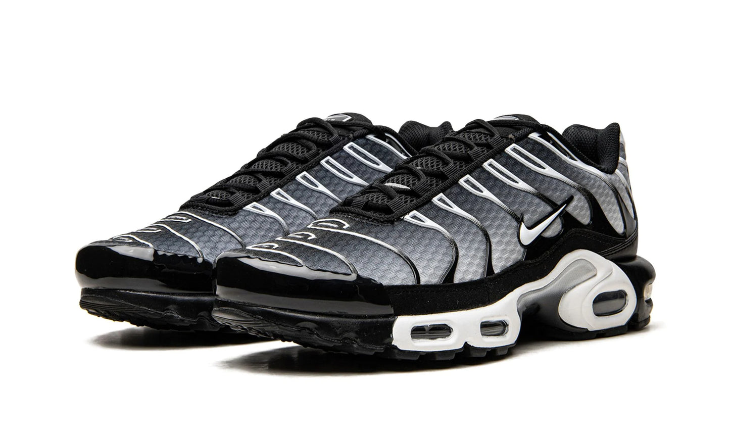 Nike Air Max Plus "Black / Silver"