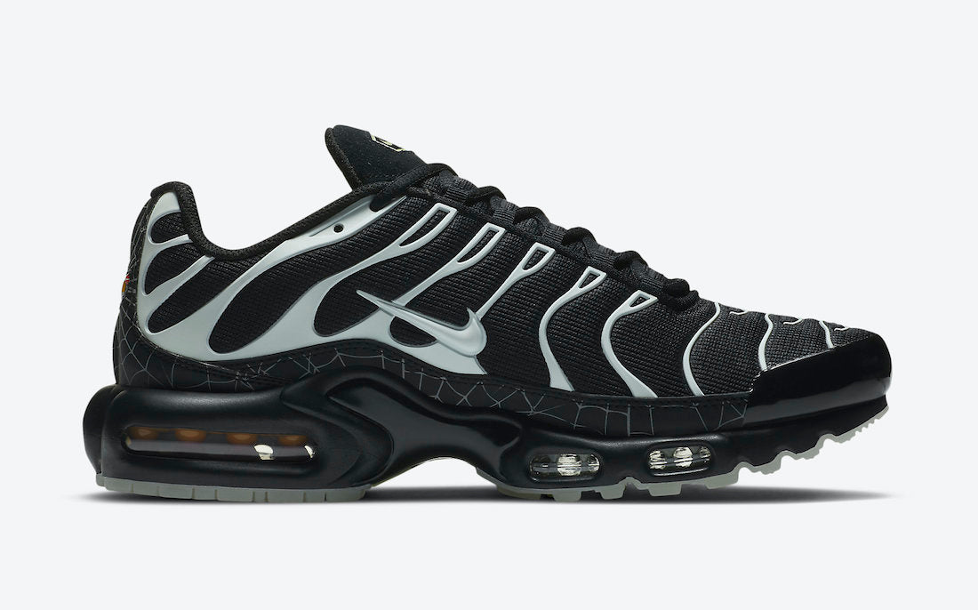 Nike Air Max Plus “Spider Web” DD4004-001