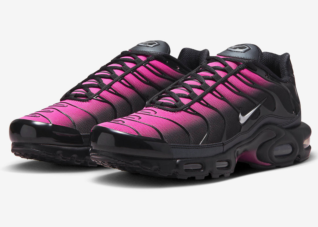 Nike Air Max Plus FJ5481-010