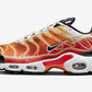 Nike Air Max Plus “Light Photography”DZ3531-600