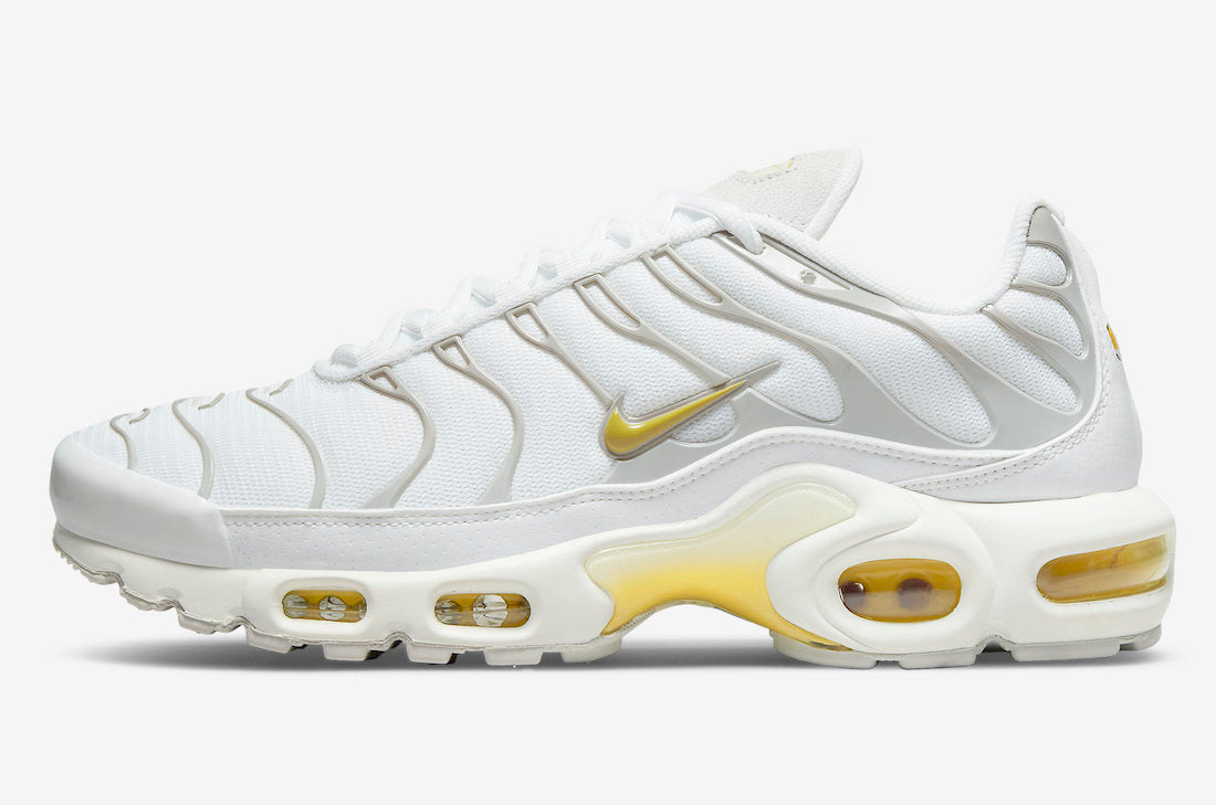 Nike Air Max Plus DV6987-100