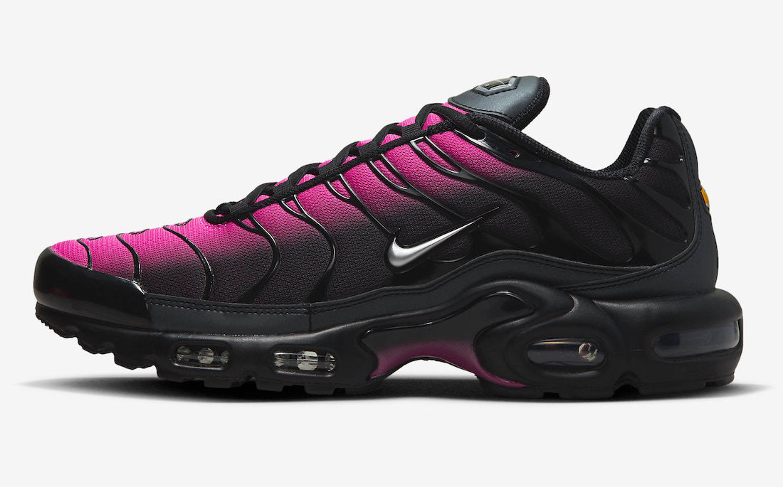 Nike Air Max Plus FJ5481-010