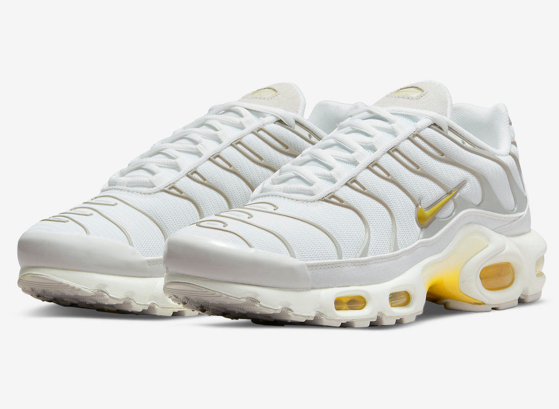 Nike Air Max Plus DV6987-100