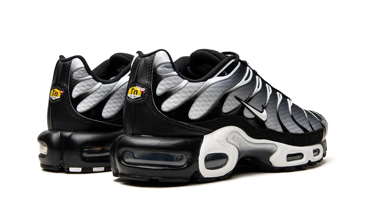 Nike Air Max Plus "Black / Silver"