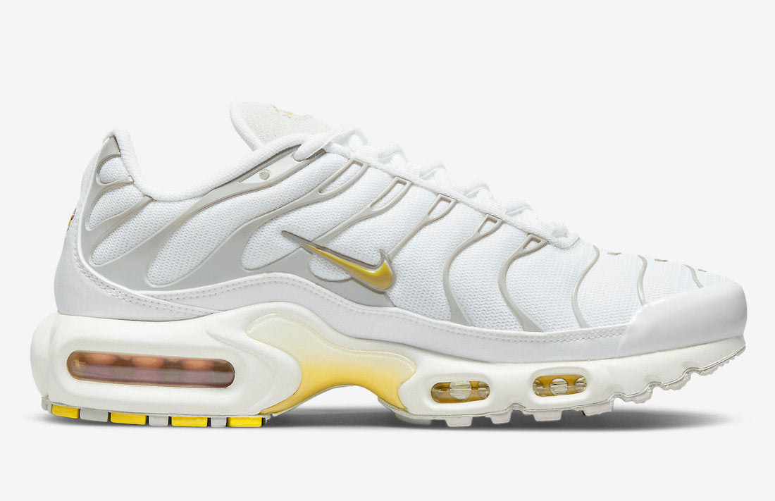 Nike Air Max Plus DV6987-100