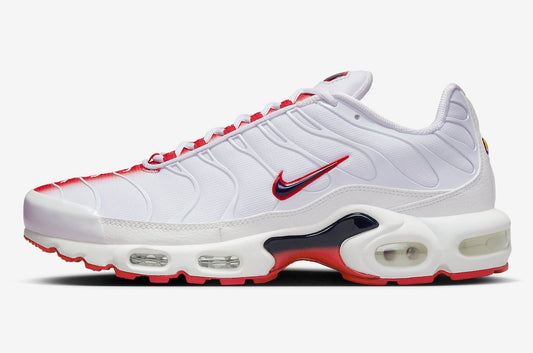 Nike Air Max Plus FN3410-100