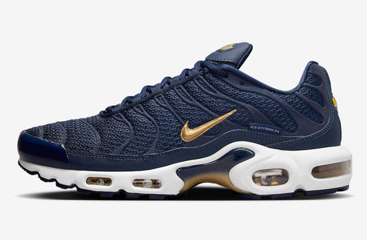 Nike Air Max Plus “French Football Federation”FB3350-400