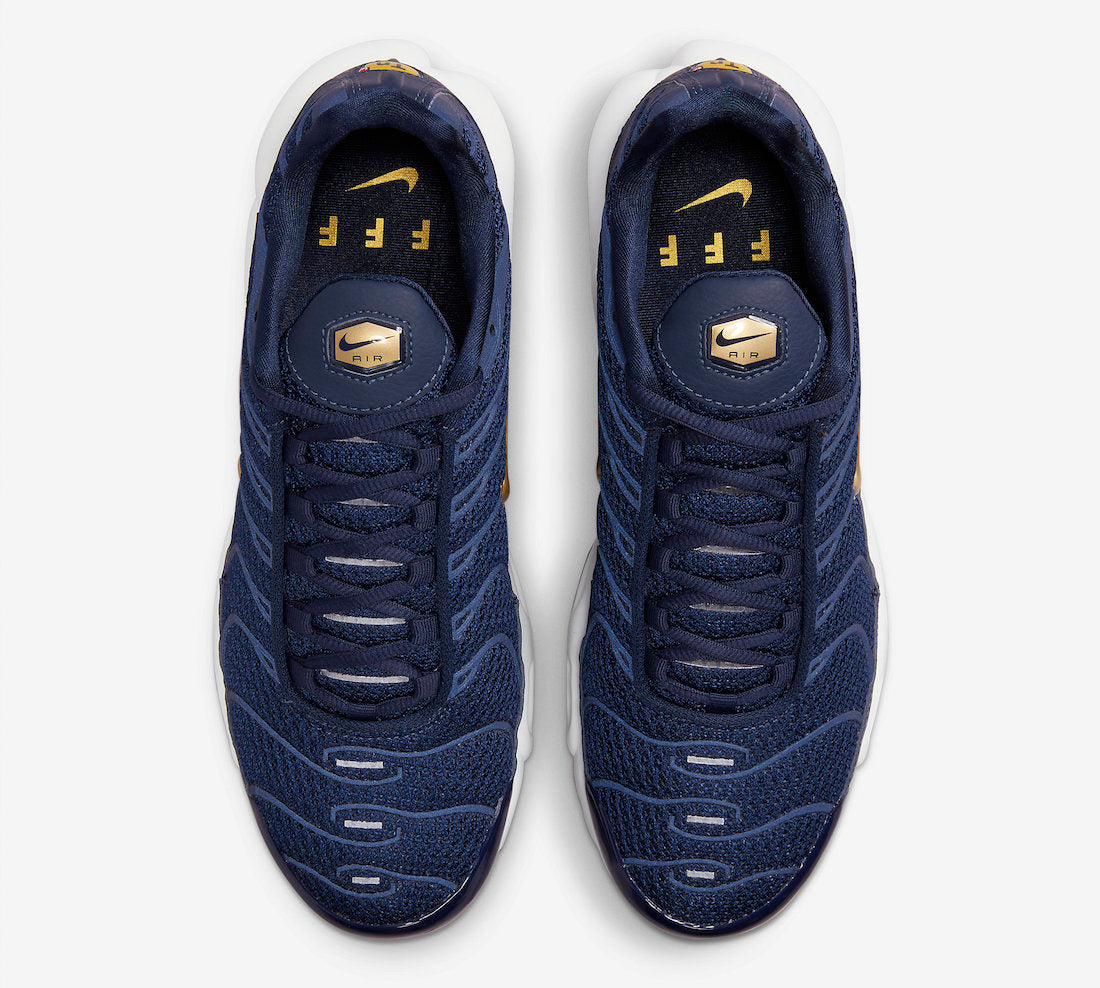 Nike Air Max Plus “French Football Federation”FB3350-400