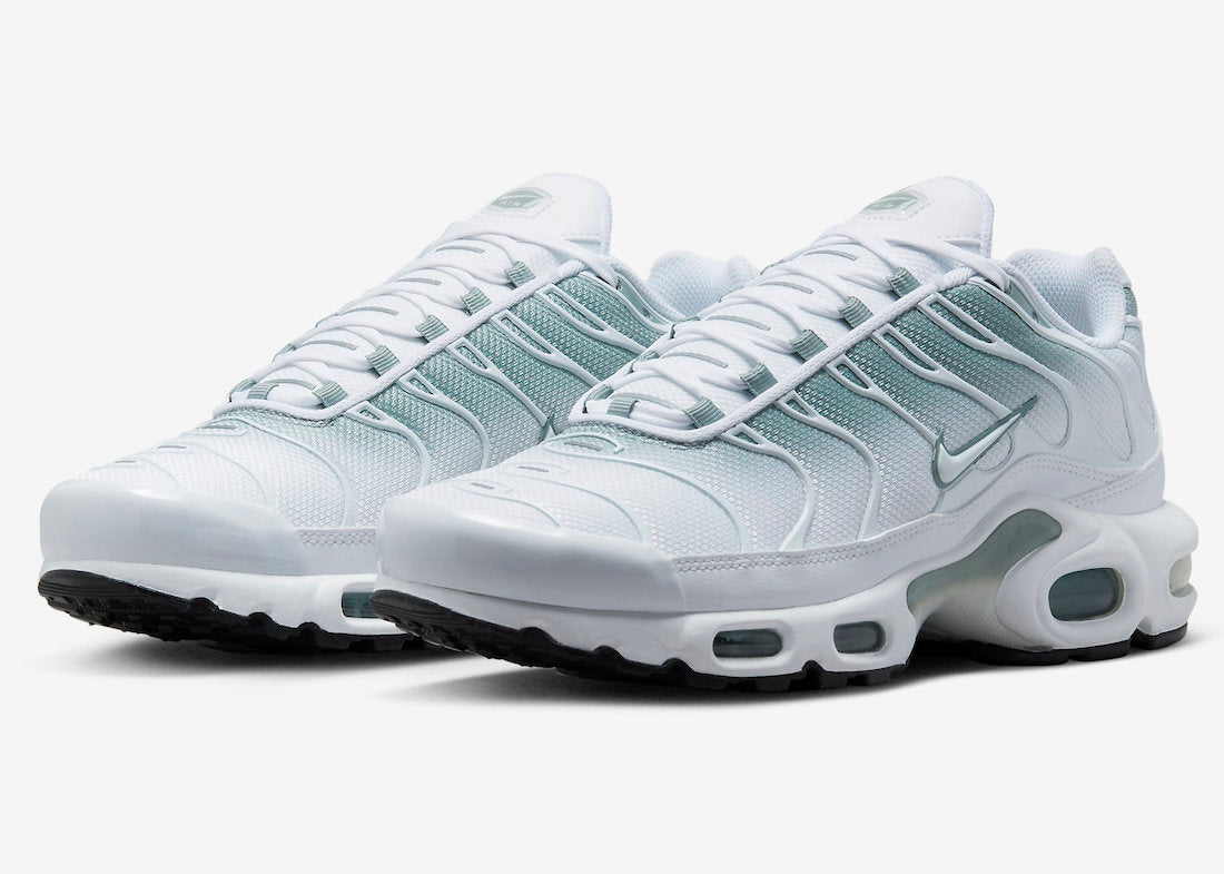 Nike Air Max Plus DZ3670-100