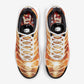 Nike Air Max Plus “Light Photography”DZ3531-600