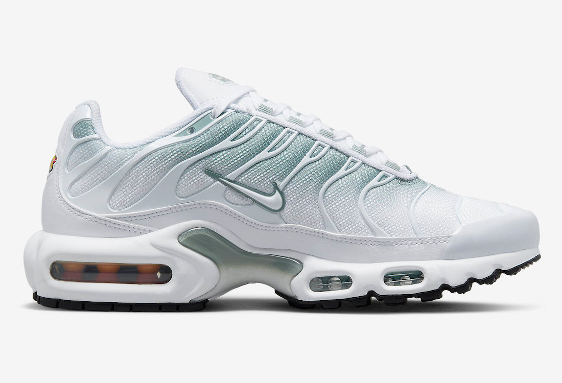 Nike Air Max Plus DZ3670-100