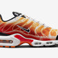 Nike Air Max Plus “Light Photography”DZ3531-600