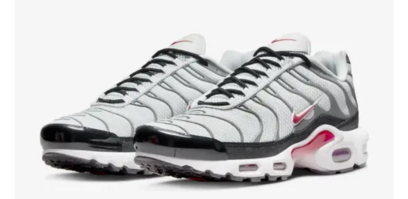 Nike Air Max TN Plus “PHOTON DUST”