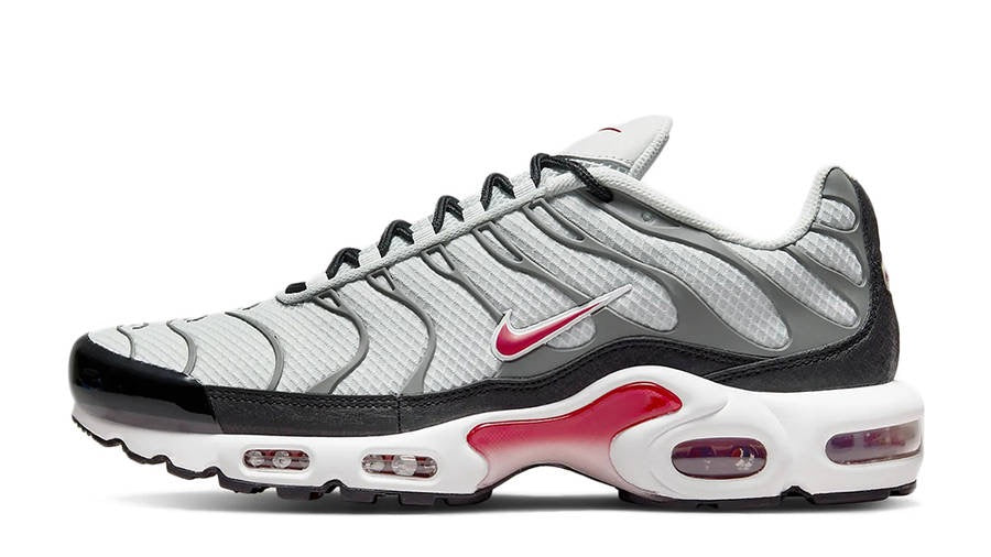 Nike Air Max TN Plus “PHOTON DUST”